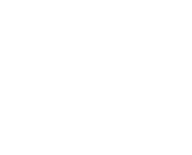 Mattone Investors
